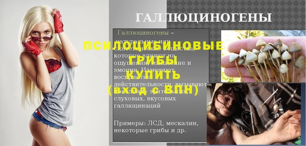 СК Каменногорск