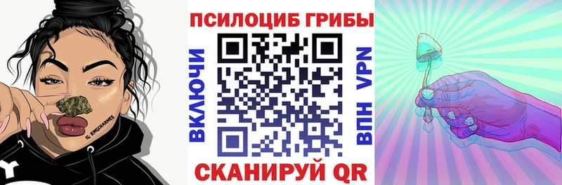 Купить закладки  Урюпинск  Псилоцибиновые грибы MAGIC MUSHROOMS 